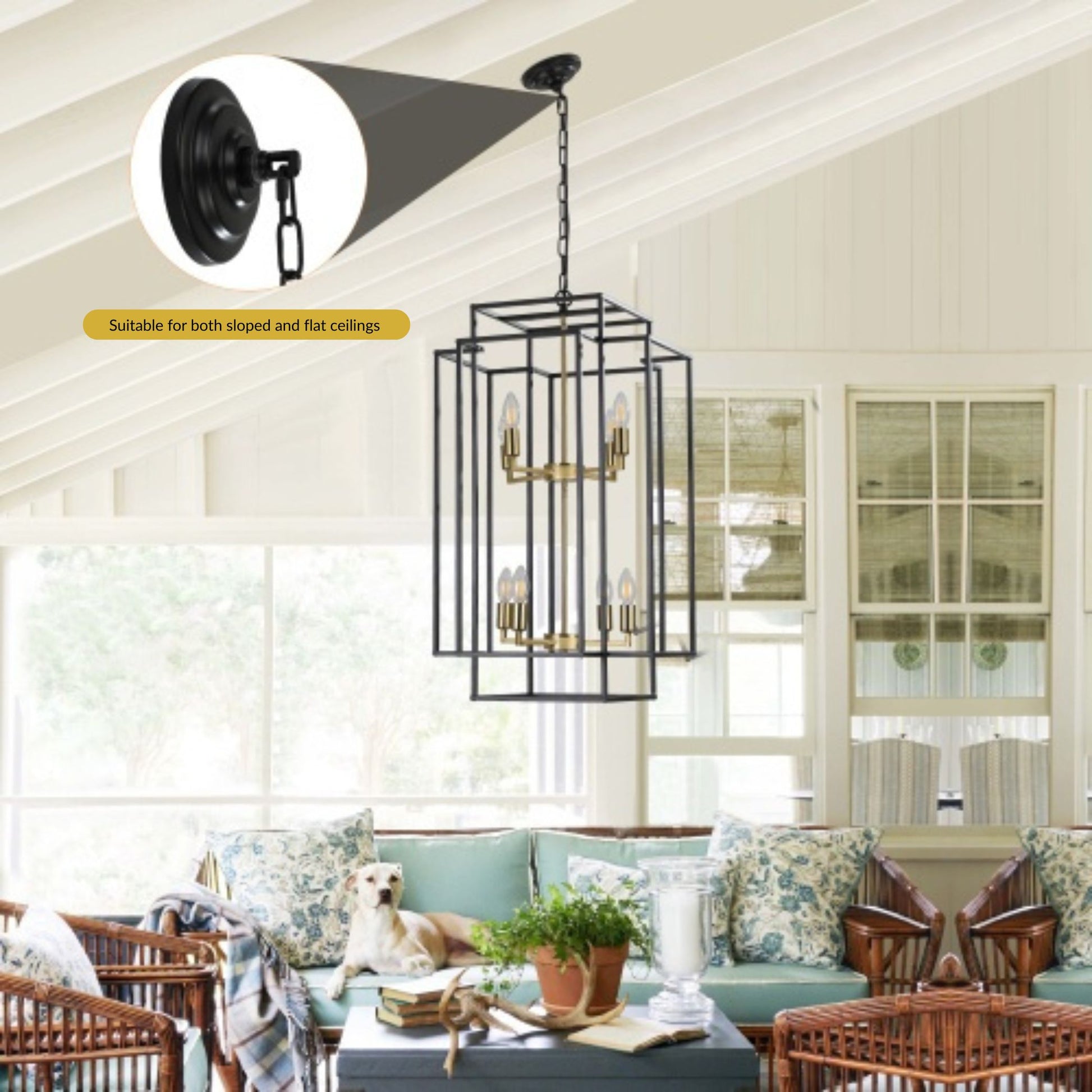 Chandelier hanging in a living room with a dog and decor